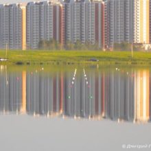 Клуб "Вега" (Московская область)